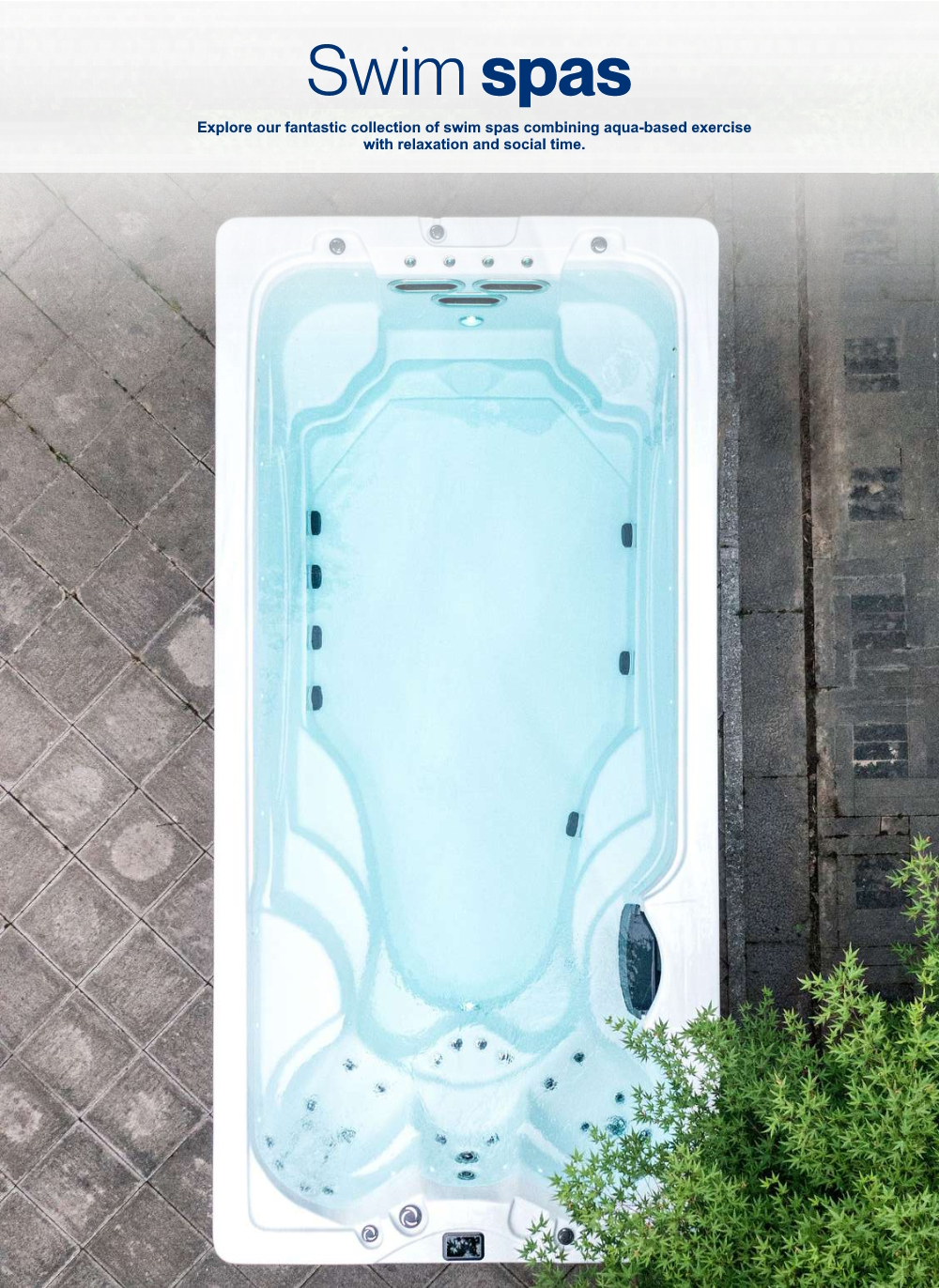 swim spas